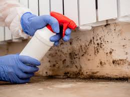 Christiana, TN Mold Remediation Company